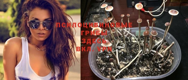 спиды Алексеевка