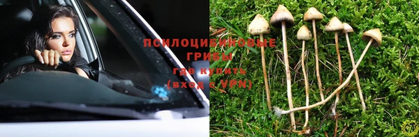спиды Алексеевка