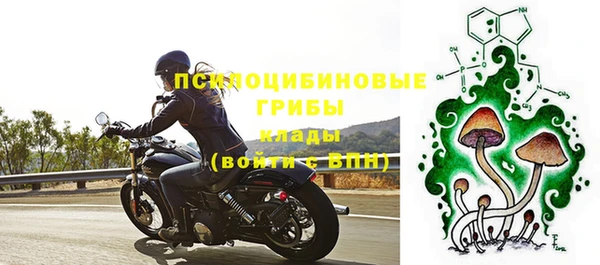 спиды Алексеевка