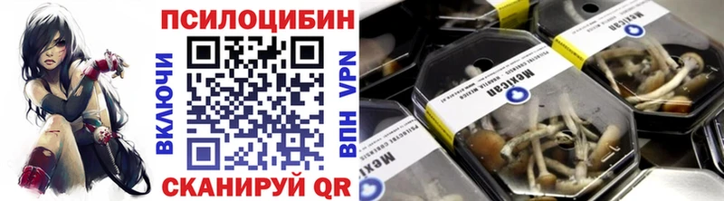 Псилоцибиновые грибы Magic Shrooms  где продают   Аргун 